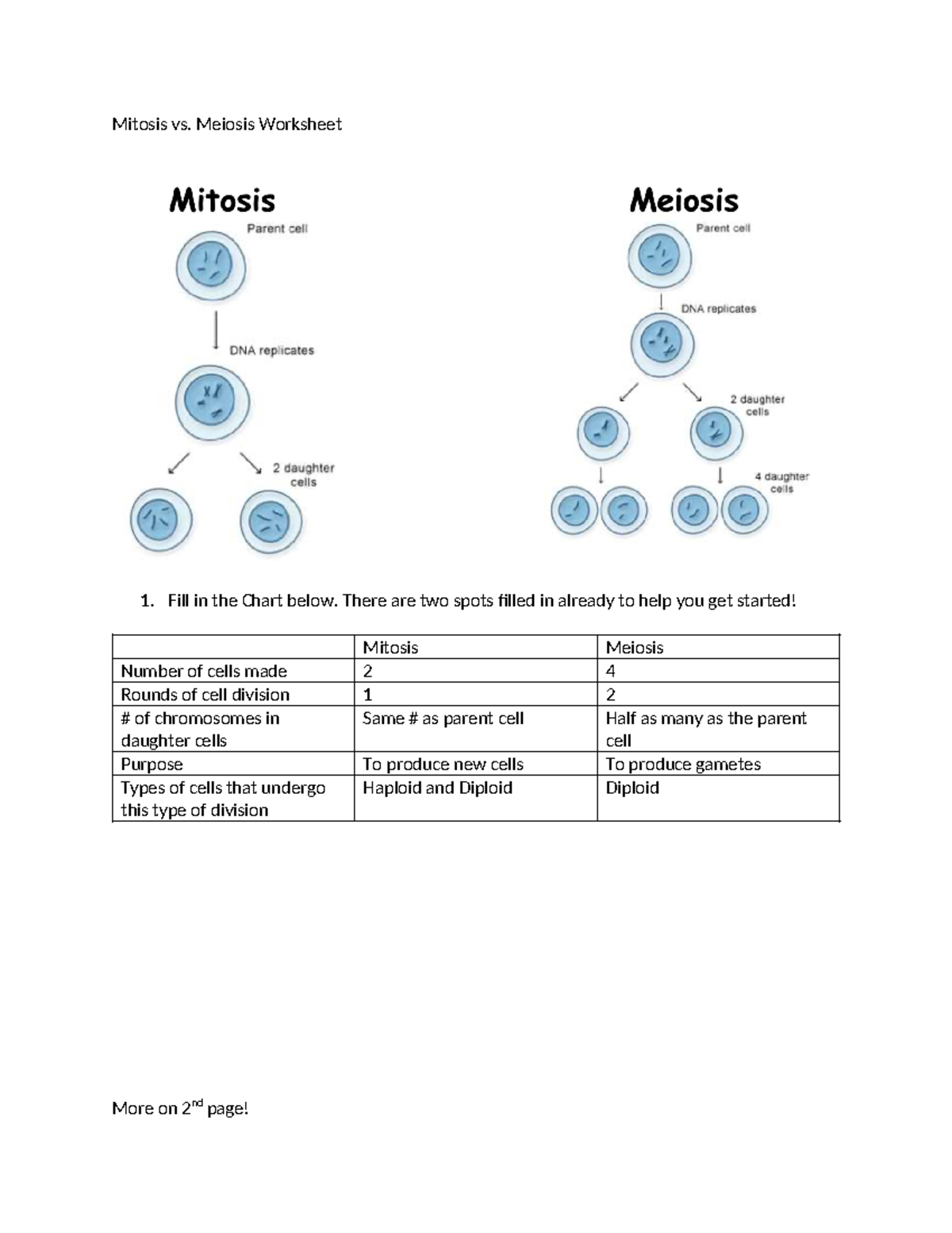 Mitosis Vs Meiosis Worksheet Key Differences Explained Studocu