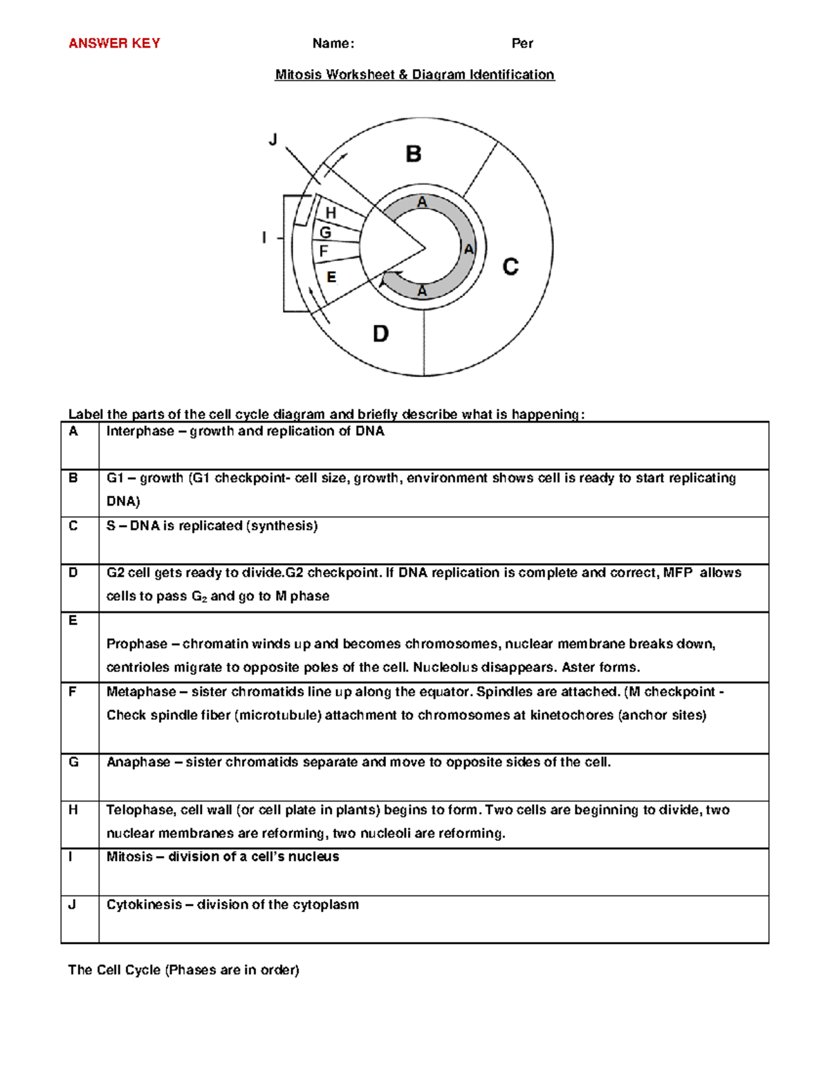 Mitosis Worksheet Answer Key Diagram Phase Descriptions Studocu Mitosis Worksheet Answer Key Diagram Phase Descriptions Studocu