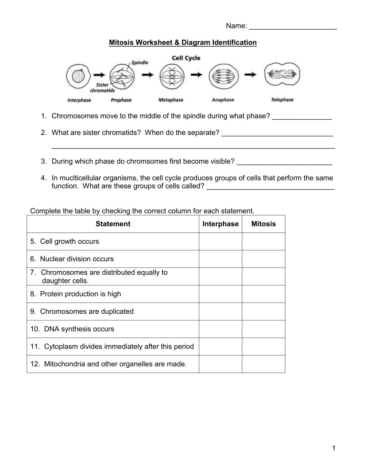 Mitosis Worksheet Cell Division Diagram ID