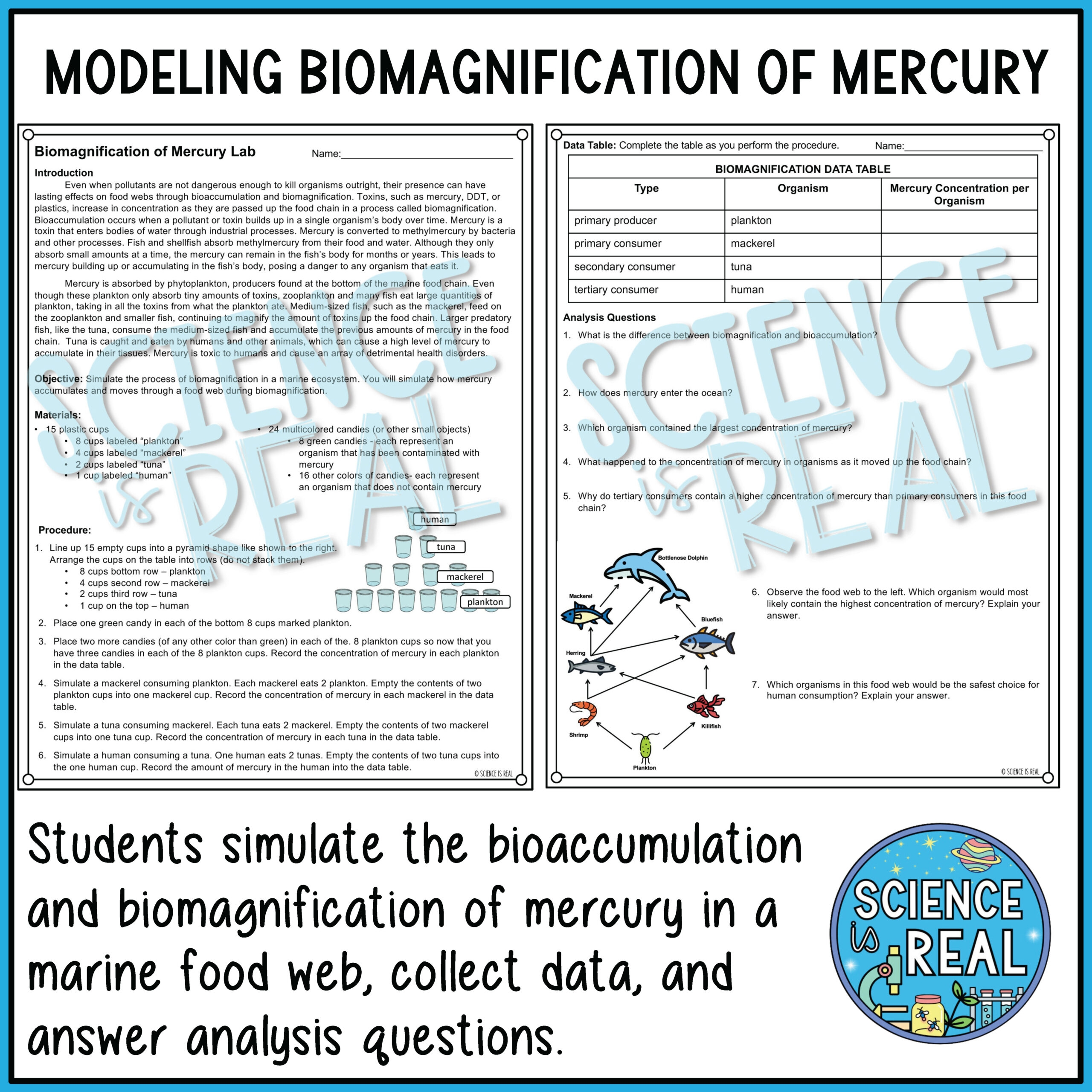 amoeba sisters biomagnification worksheet answers