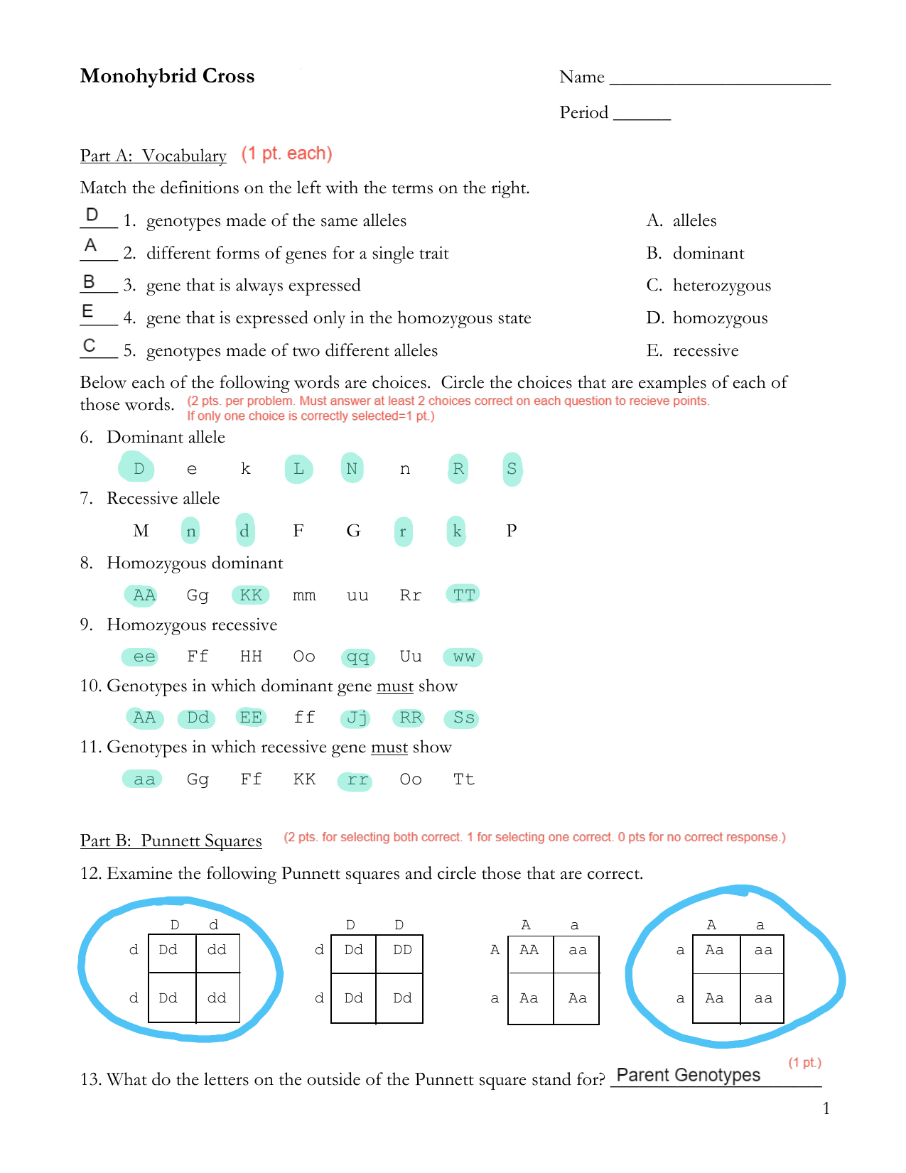 Monohybrid Cross Activity Sheet Key Worksheets Library