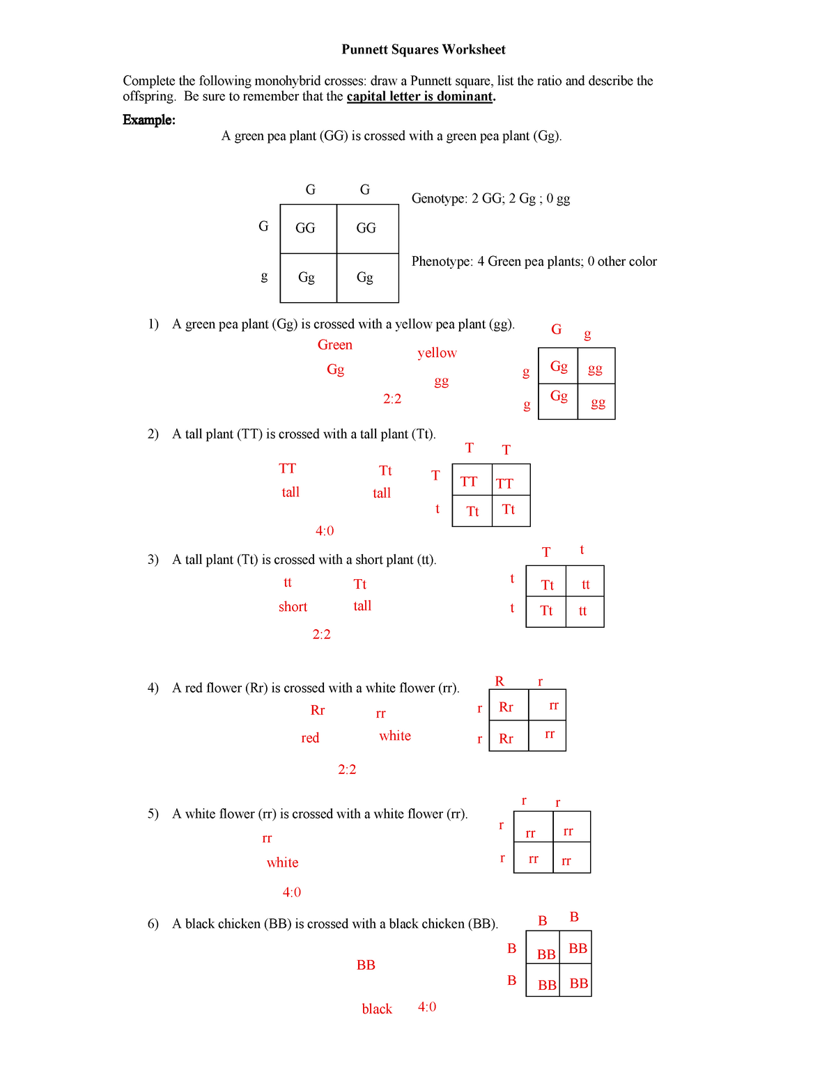 Monohybrid Cross Problems Gizmo Jqwpdqwk Punnett Squares Worksheets Library
