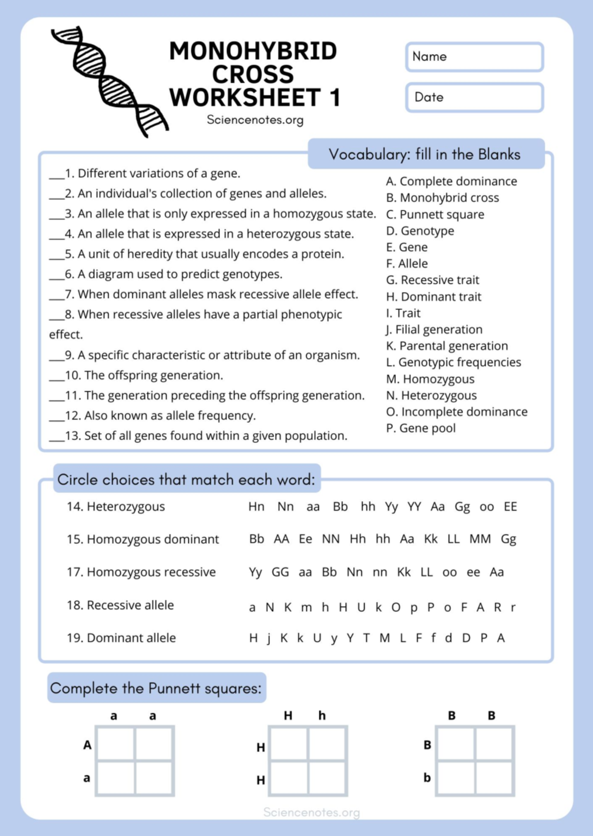 Monohybrid Cross Worksheet 1 Understanding Punnett Squares Studocu