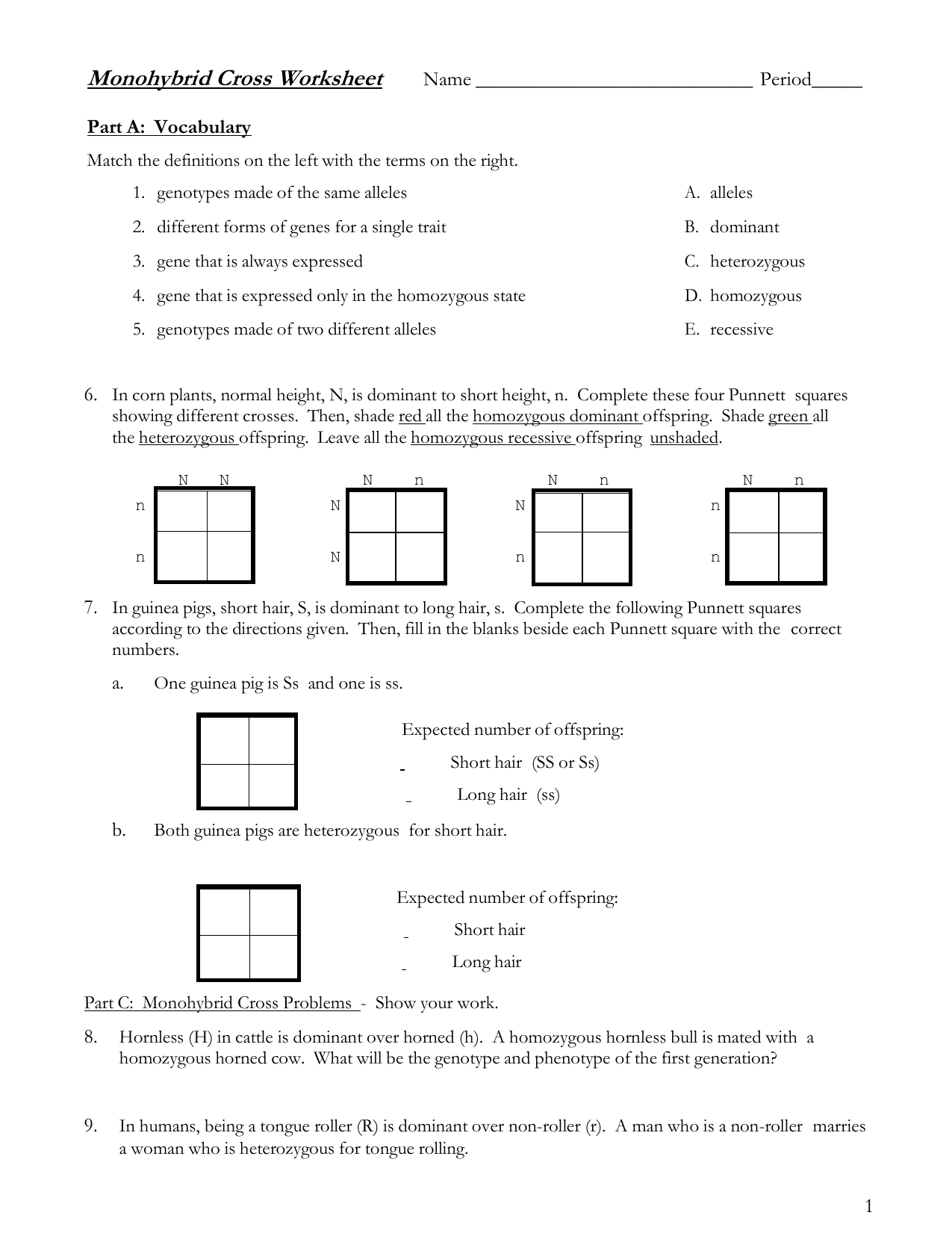 monohybrid cross worksheet answer key