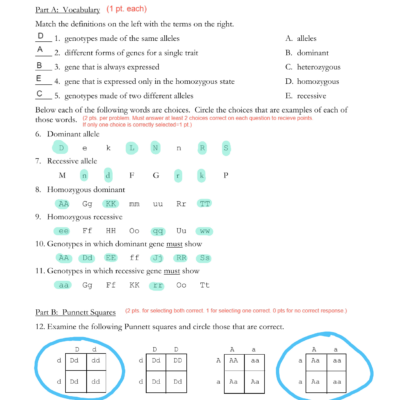 Monohybrid Cross Worksheet Genetics Practice