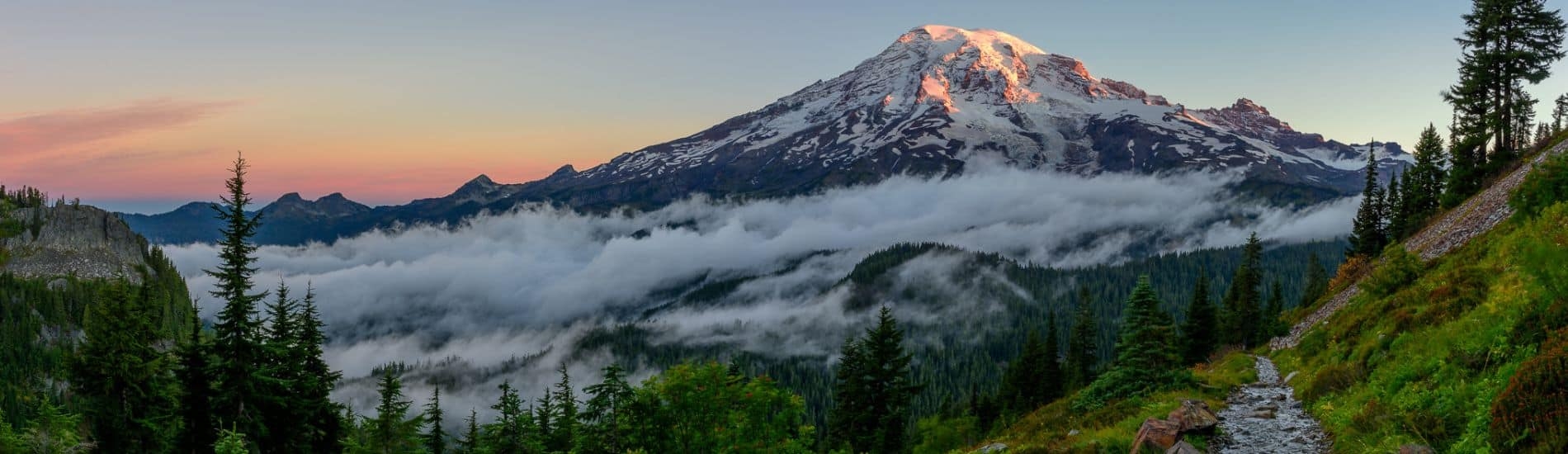 Mount Rainier Facts Information Visit Rainier Mount Rainier Facts Information Visit Rainier