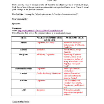 MOUSE PARTY Drug Effects On Neurotransmitters Worksheet Answers Studocu