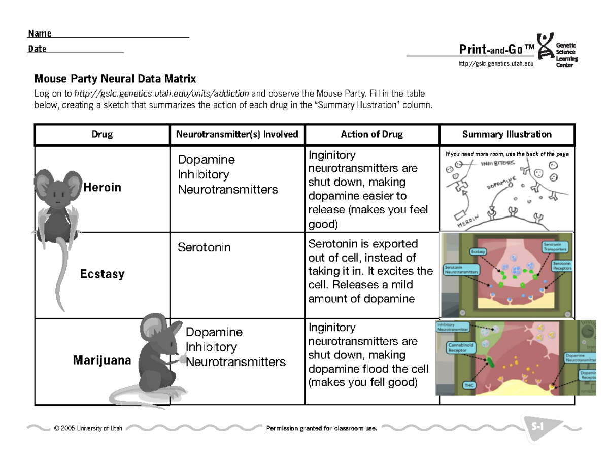 Mouseparty Student Assignment On Drug Types And Their Effects Studocu