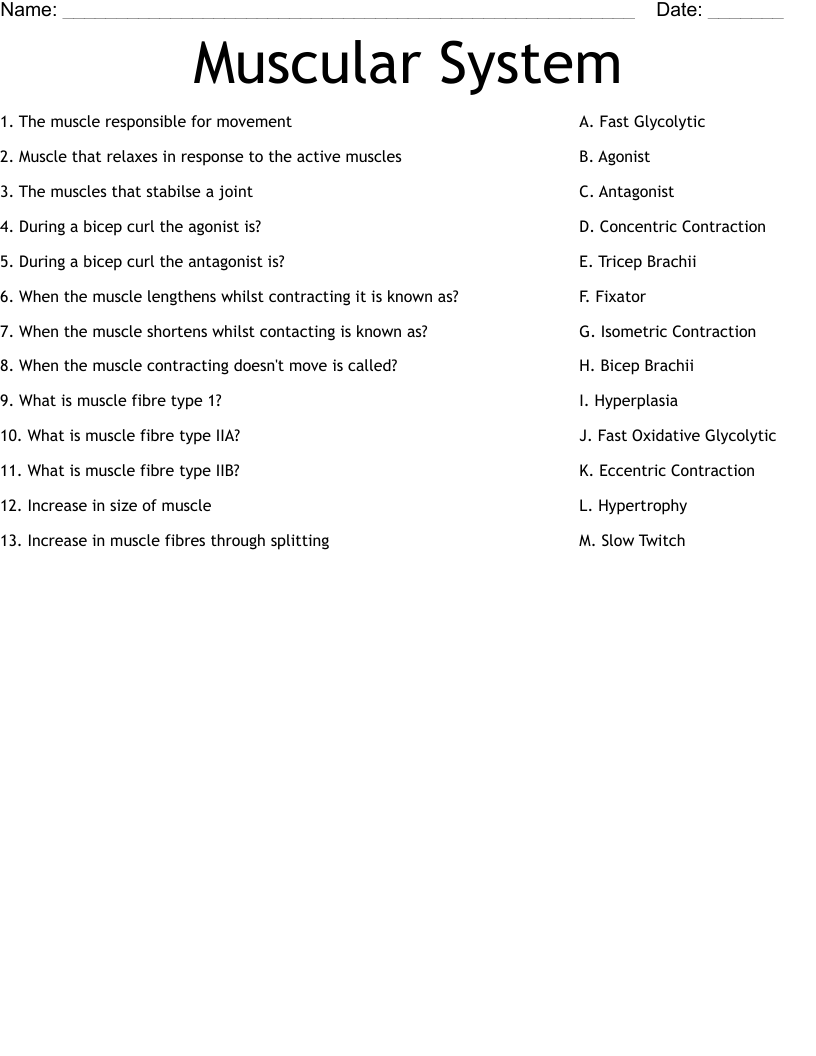 Muscular System Worksheet WordMint Muscular System Worksheet WordMint