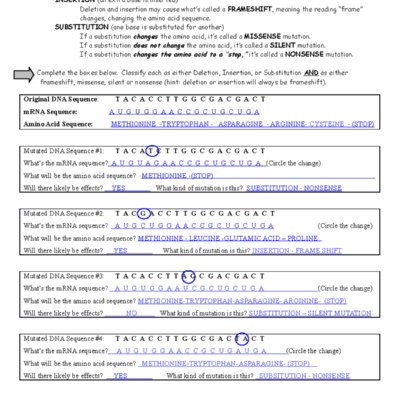 Mutations Biology Honors WS Key By Sonal Tonger Studocu