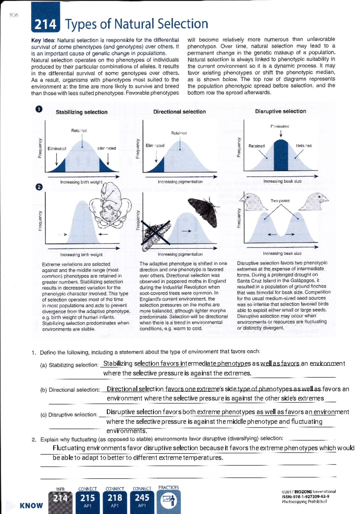 Natural Selection Worksheet Types Processes Explanation Studocu Natural Selection Worksheet Types Processes Explanation Studocu