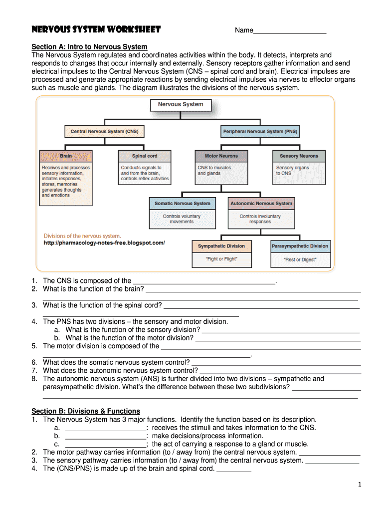 Nervous System Worksheet Answers Fill Out Sign Online DocHub Nervous System Worksheet Answers Fill Out Sign Online DocHub