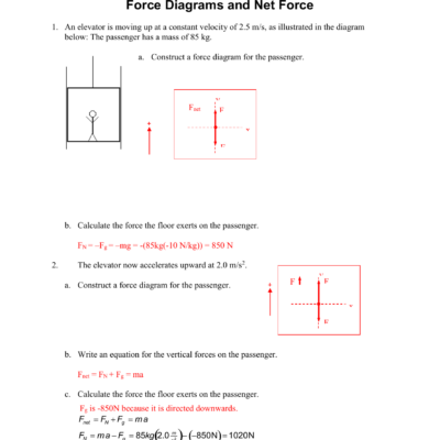 Net Force Force Diagrams Worksheet Physics Problems