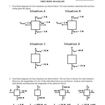 Newton s Laws Free Body Diagram Worksheet