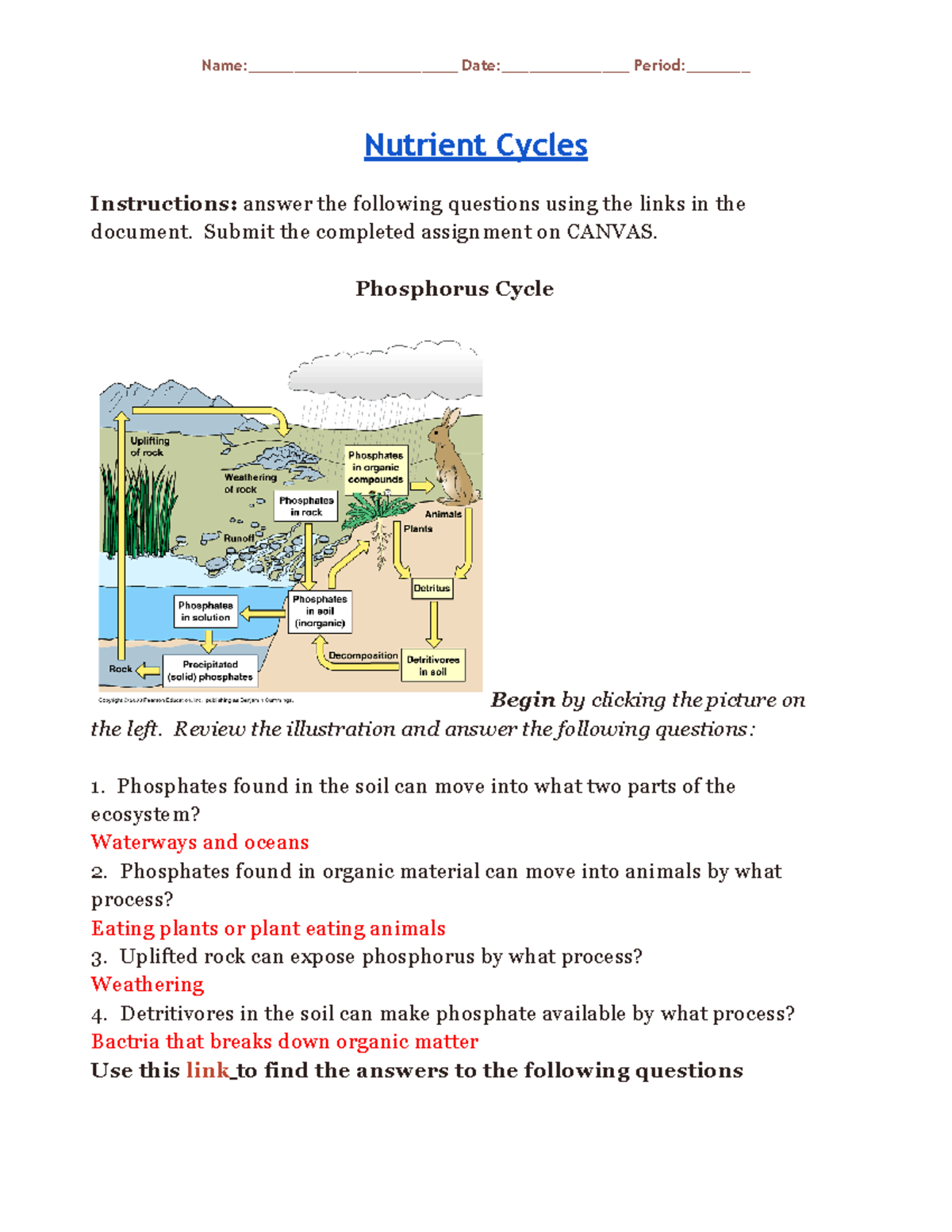 Nutrient Cycles Assignment Phosphorus Calcium Cycles Overview Studocu