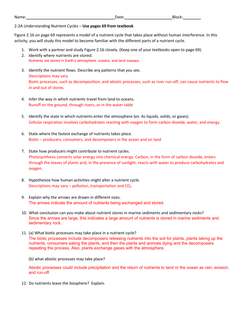 Nutrient Cycles Worksheet Understanding Ecosystems