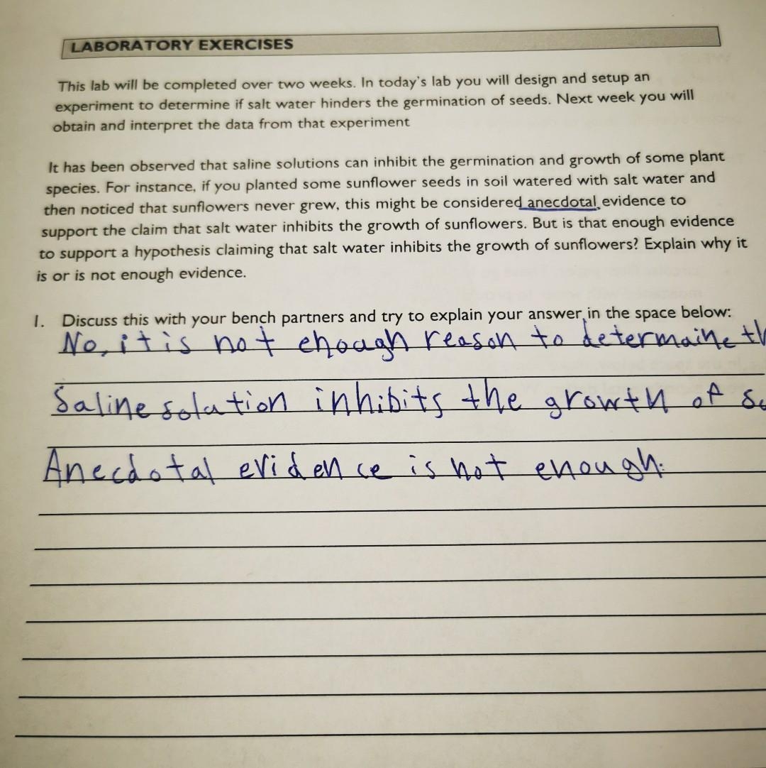 lunchroom fight worksheet answer key lunchroom fight worksheet answer key