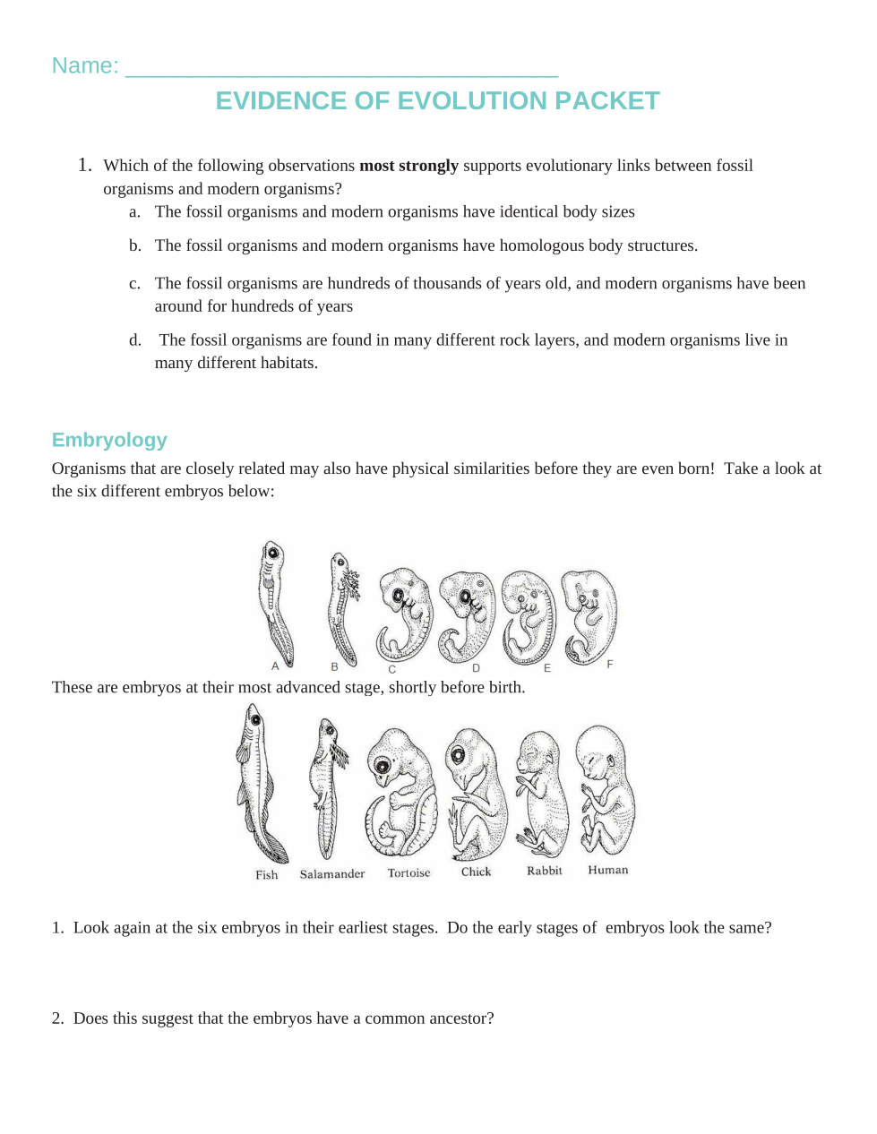 OPSC Evidence Of Evolution Worksheet Katelyn Owens Library Formative