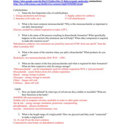 Organic Macromolecules Worksheet Biology Review