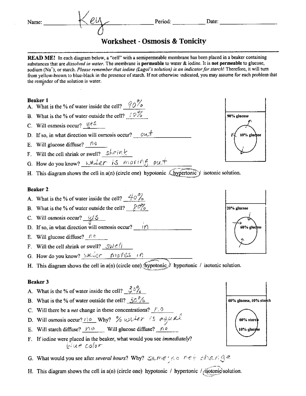 Osmosis And Tonicity Worksheet Answer Key Exercises Cell Biology Docsity Osmosis And Tonicity Worksheet Answer Key Exercises Cell Biology Docsity