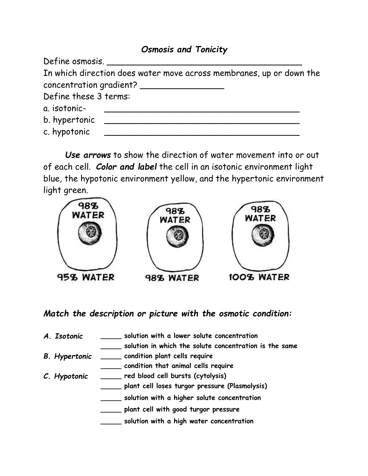 Osmosis And Tonicity Worksheet Cell Biology Osmosis And Tonicity Worksheet Cell Biology