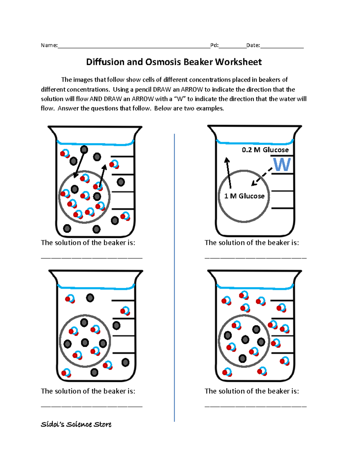 Osmosis Diffusion Worksheet Biology 101 Learning Directions Studocu