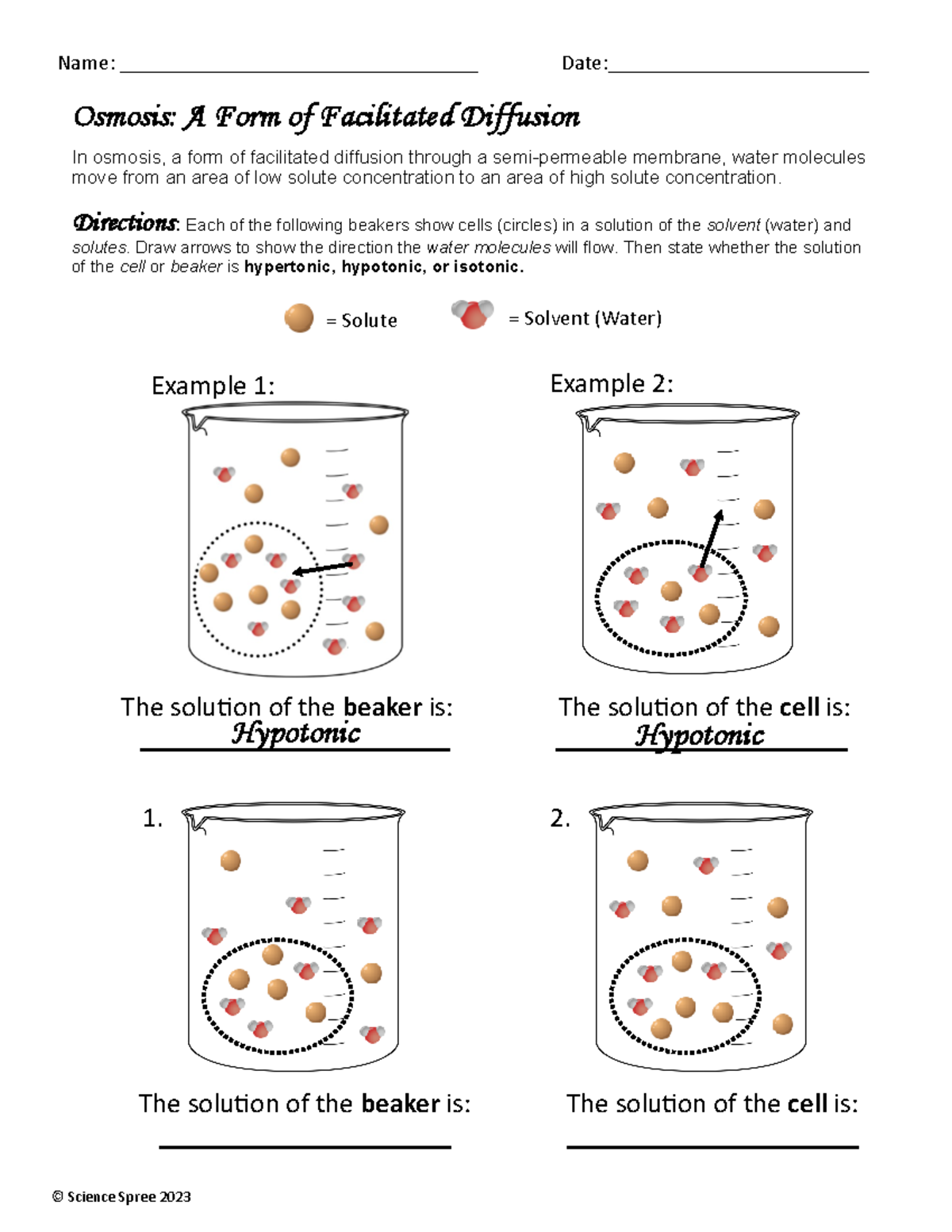 diffusion and osmosis worksheet answer key
