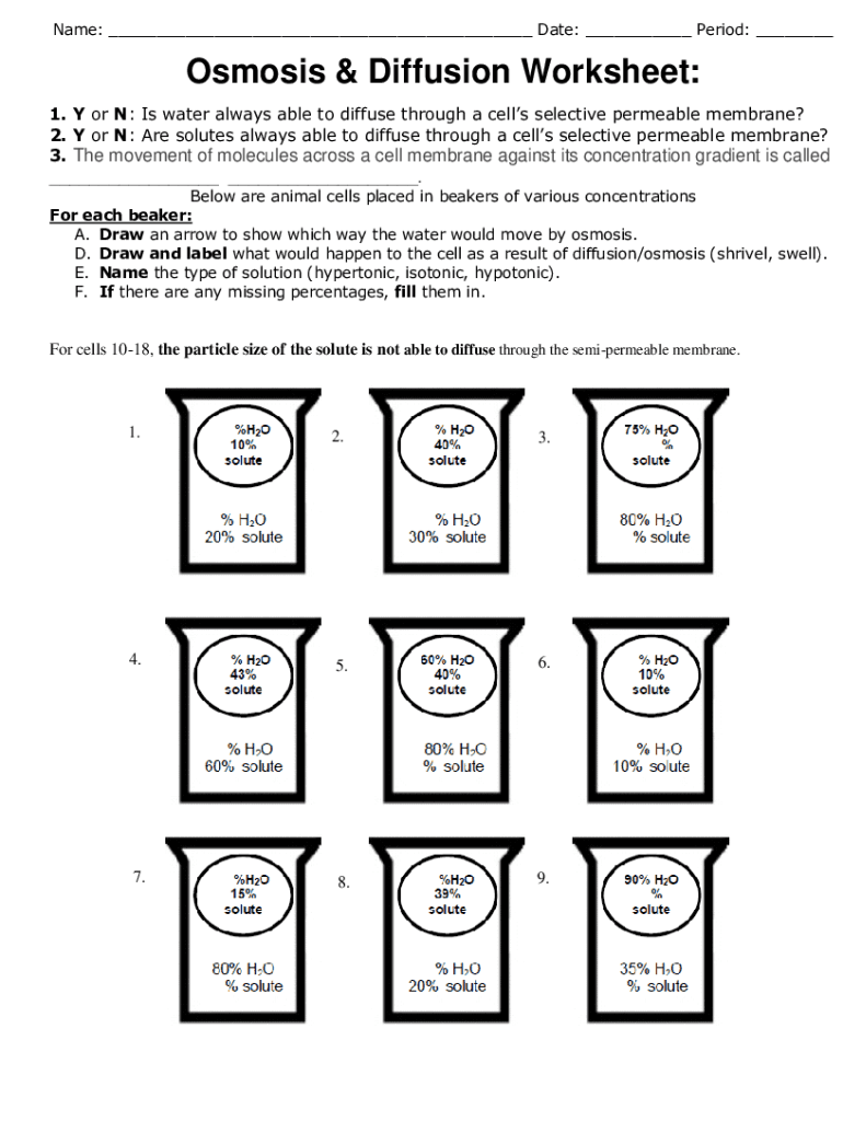 Osmosis Worksheet Fill Out Sign Online DocHub