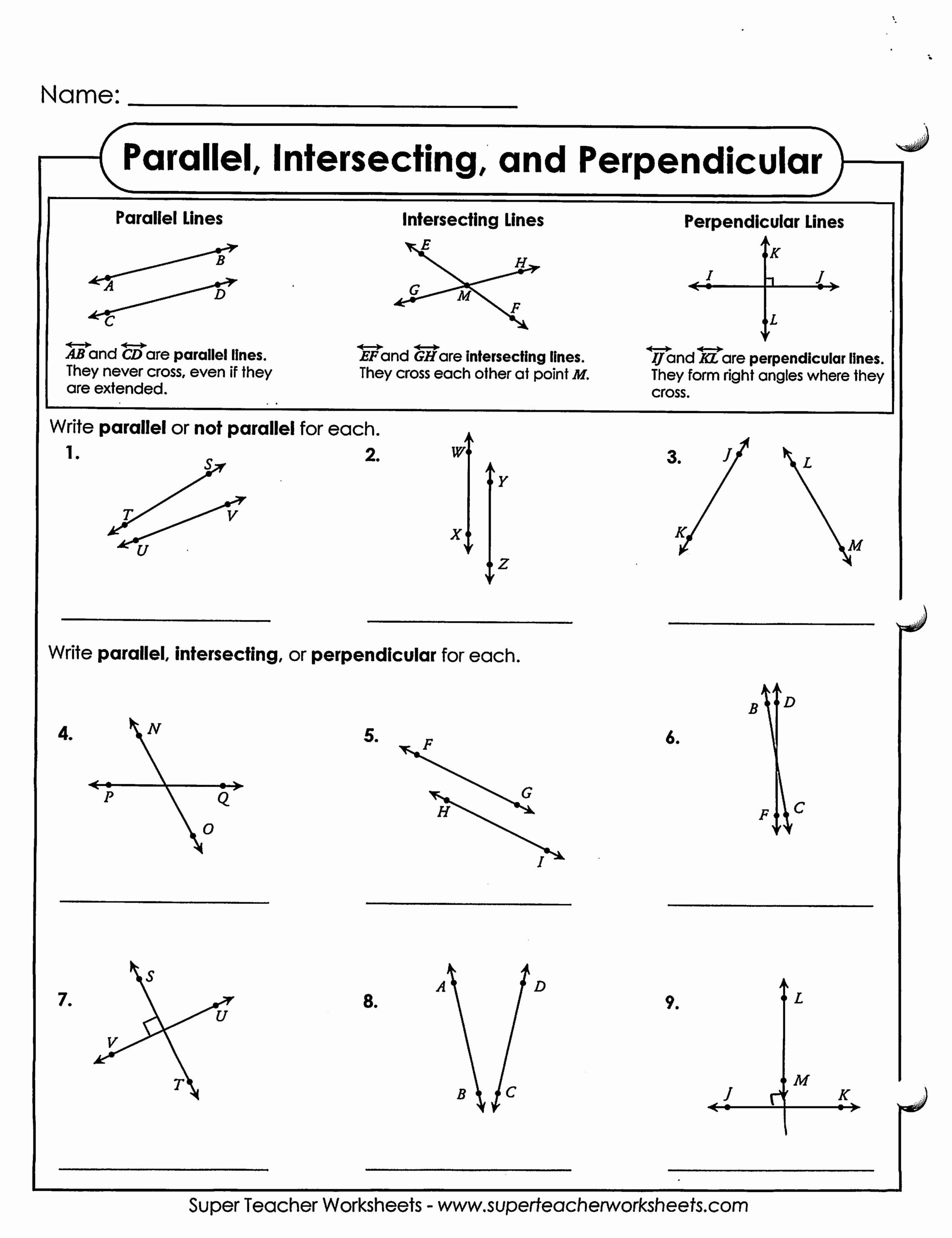 Parallel And Perpendicular Lines Worksheet Fresh Math Ms Csipak S Worksheets Library