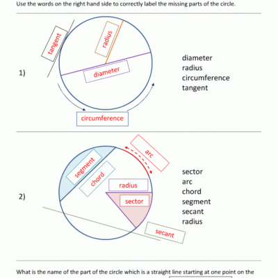 Parts Of A Circle Worksheet