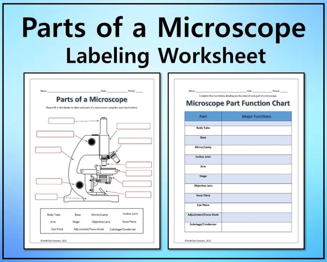 Parts Of A Microscope Labeling Functions Worksheet Science Editable DIGITAL DOWNLOAD Etsy