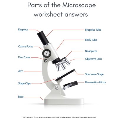 Parts Of The Microscope Worksheet With Answers Biology Worksheet