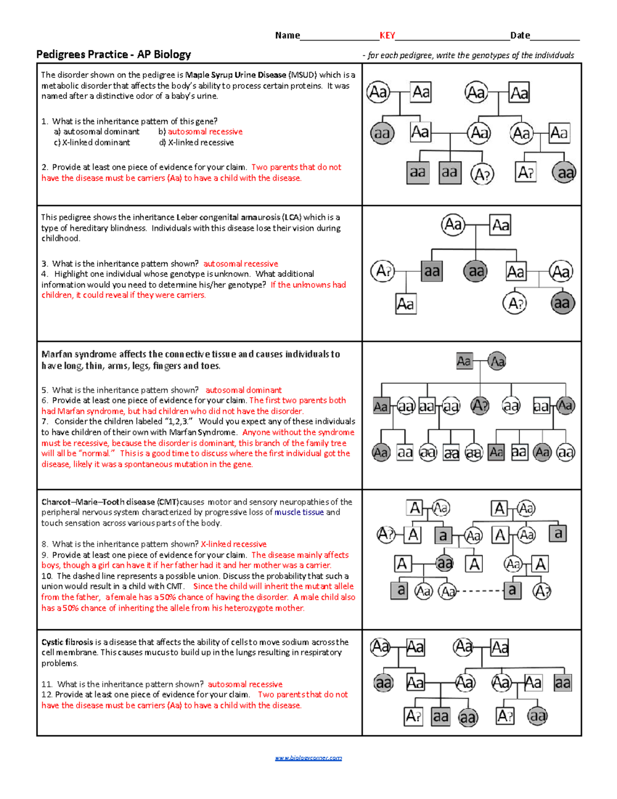 Pedigree Analysis Practice Questions APBiology KEY 1 Studocu