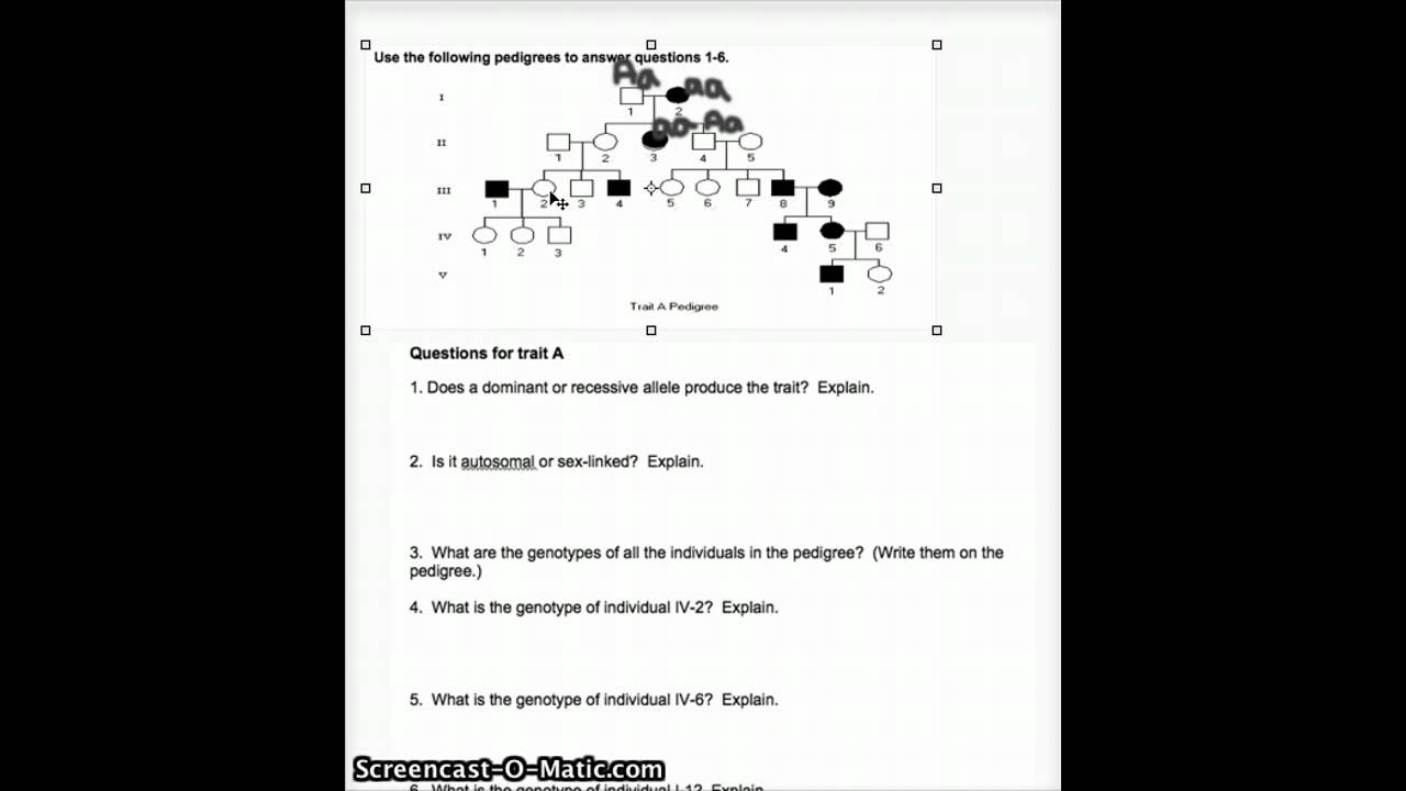 pedigree practice worksheet with answers