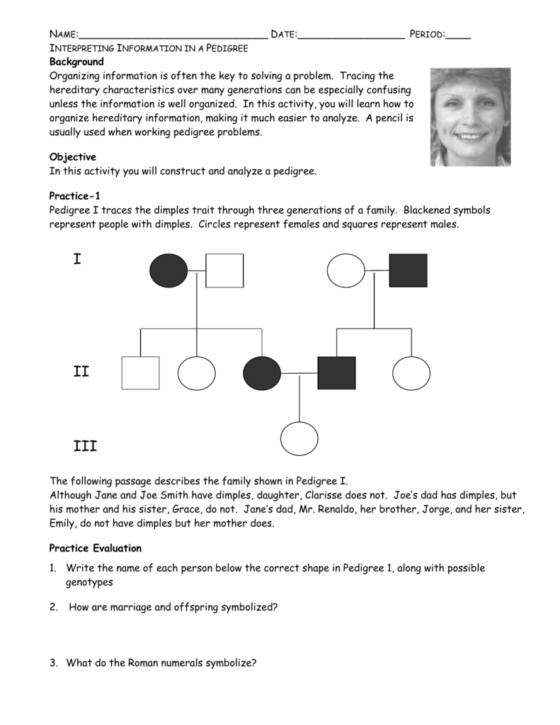 genetics pedigree worksheet answer key dimples genetics pedigree worksheet answer key dimples
