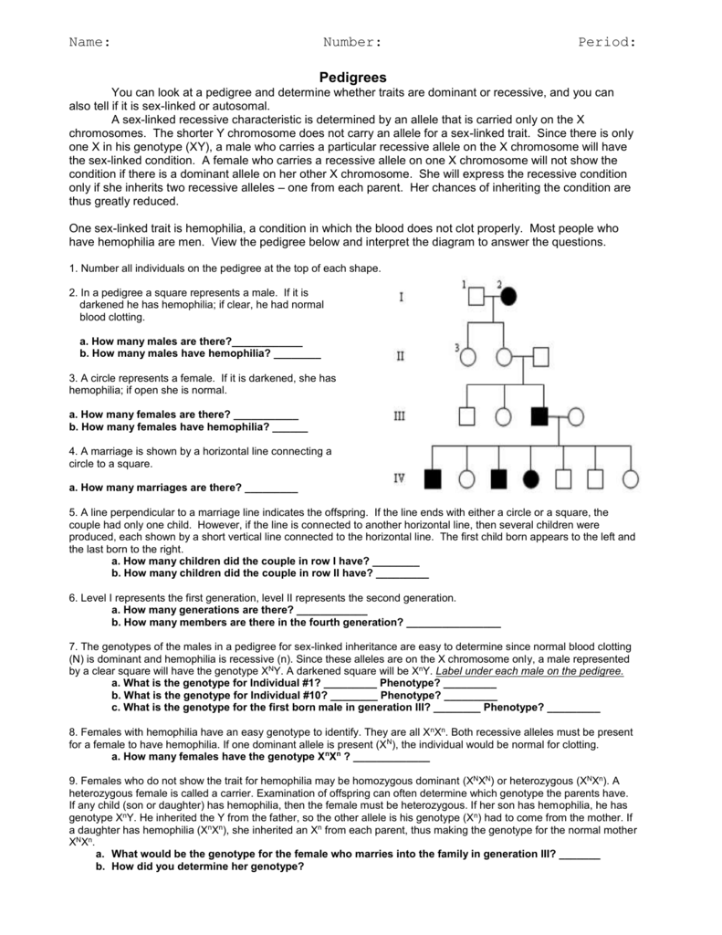 Pedigree Worksheet Hemophilia Albinism Genetics
