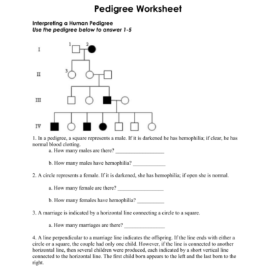 Pedigree Worksheet Interpreting Inheritance Patterns