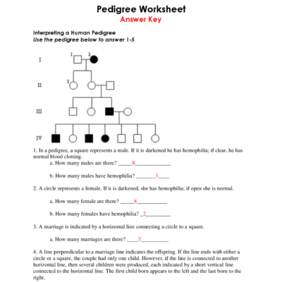 Pedigree Worksheet With Answer Key Exercises Genetics Docsity Worksheets Library