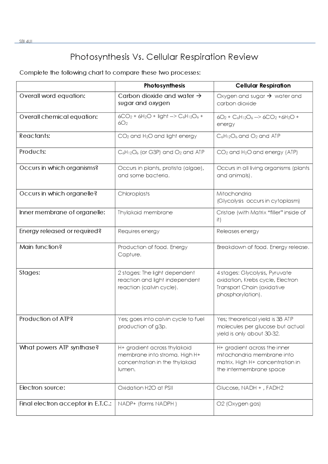 photosynthesis & cellular respiration worksheet answer key