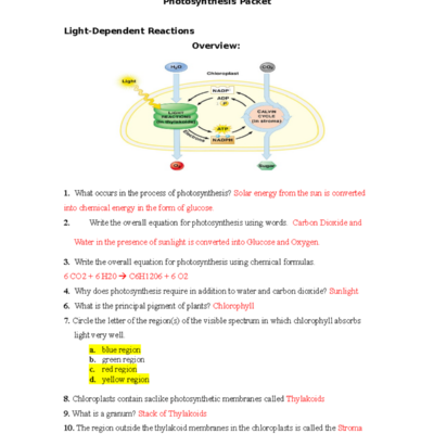 Photosynthesis Worksheet V2 Short 2018 With Answer Key Studocu