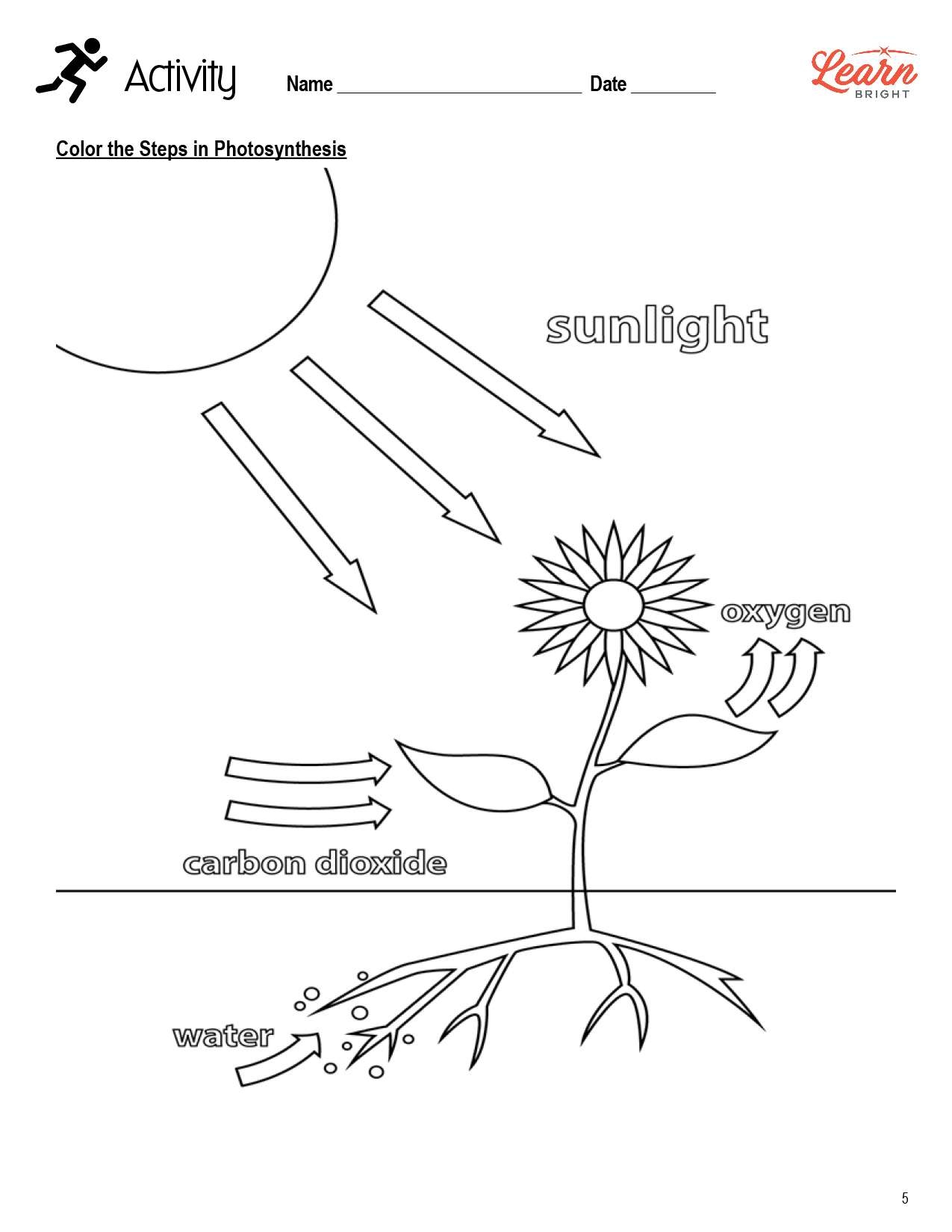 Photosynthesis Worksheets Library Photosynthesis Worksheets Library