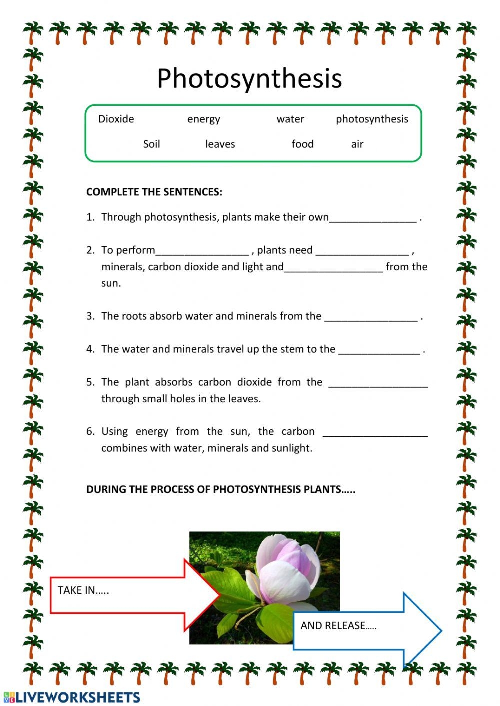 photosynthesis worksheet pdf photosynthesis worksheet pdf