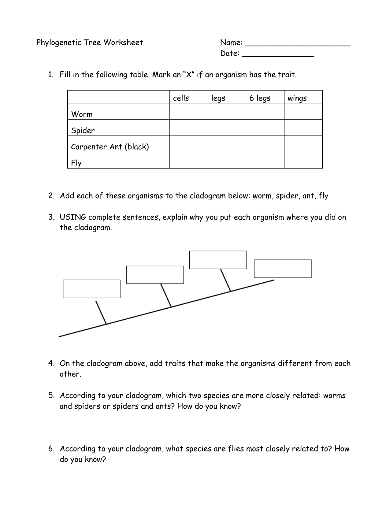 Phylogenetic Tree Worksheet Cladograms Relationships Phylogenetic Tree Worksheet Cladograms Relationships