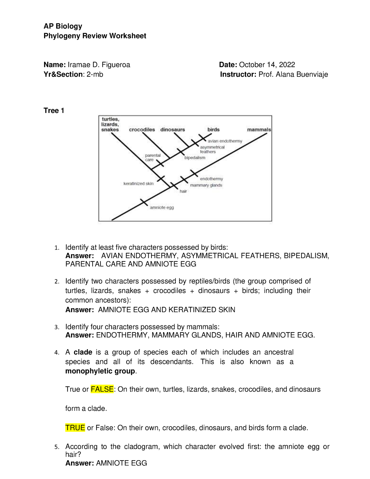 Phylogeny practice Evolution Khan Academy Worksheets Library