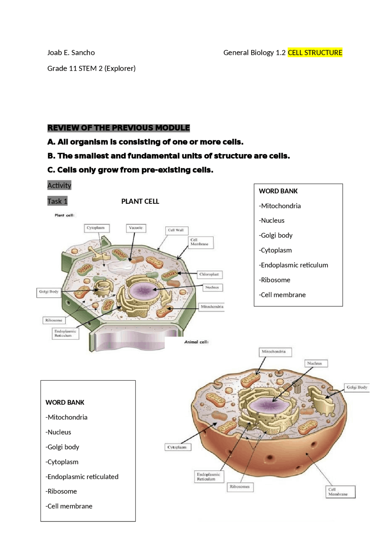 Plant Cell And Animal Cell Exercises Biology Docsity Worksheets Library