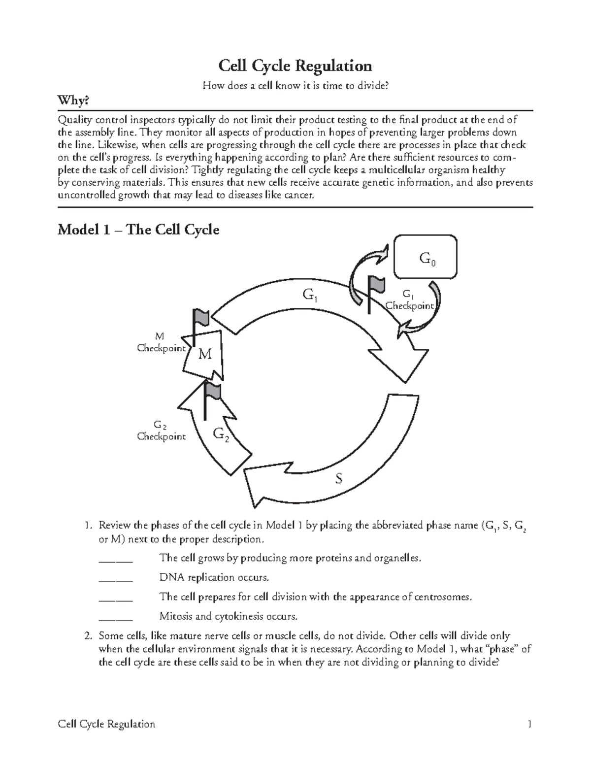 POGIL Meiosis Overview Key Concepts For Bio 101 Exam Review Studocu