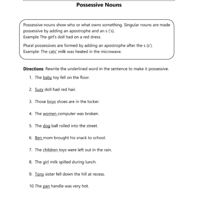 Possessive Nouns Worksheet Grammar Practice