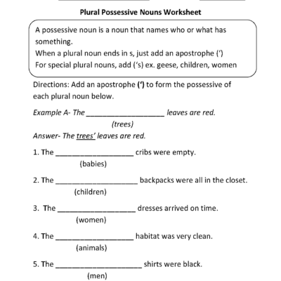Possessive Nouns Worksheets Plural Possessive Nouns Worksheets