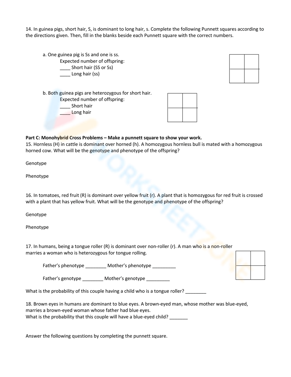 Printable 10th Grade Punnett Square Practice Worksheets