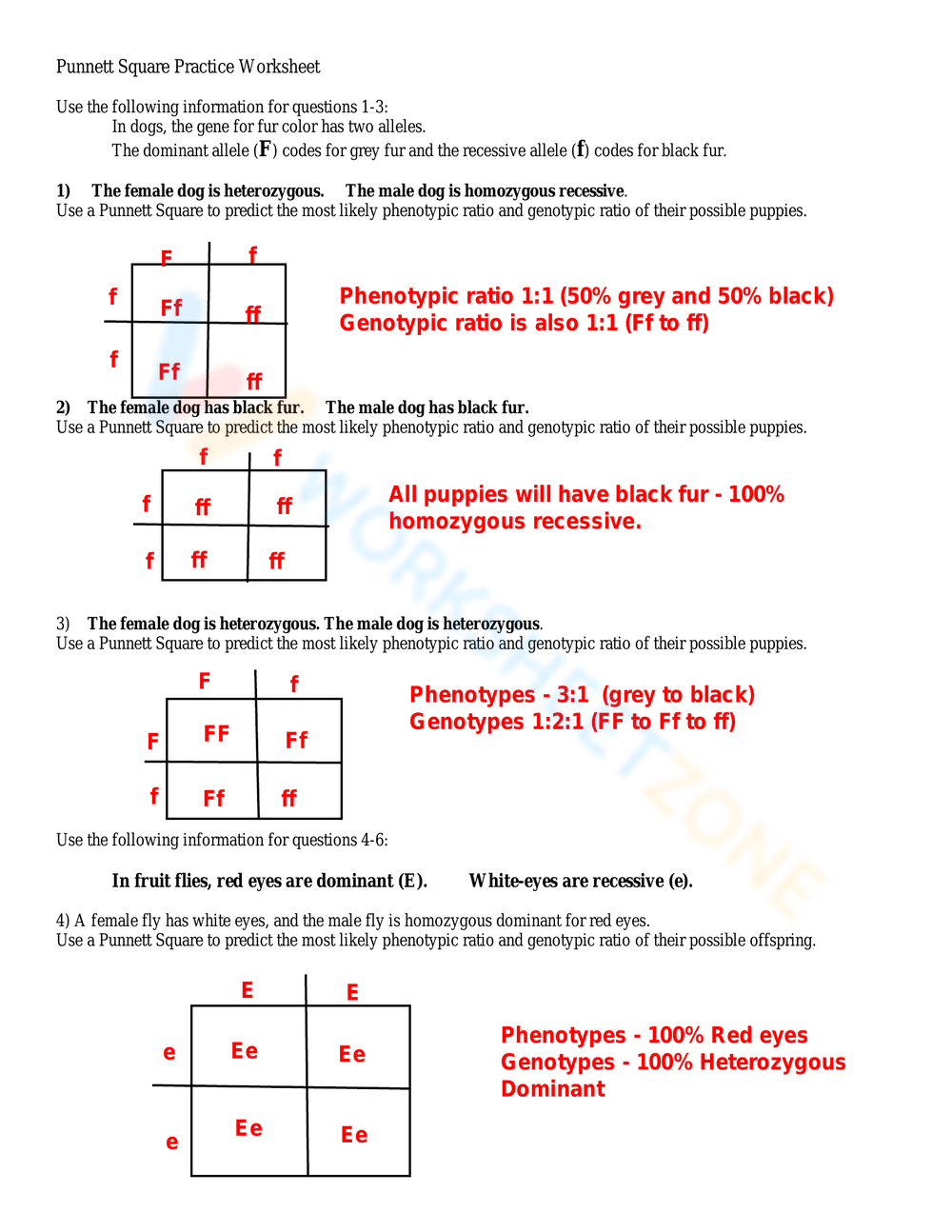 Printable 10th Grade Punnett Square Practice Worksheets